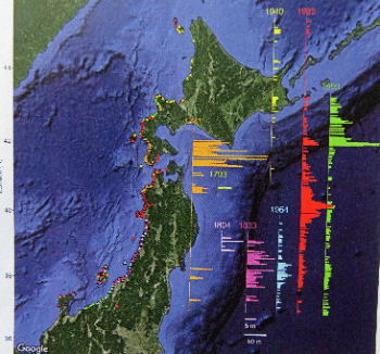 津波の分布
