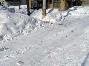 道路に産卵しているごみ