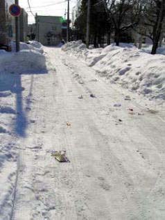 道路に散乱しているごみ