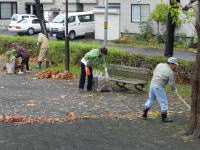 落ち葉を集める町民