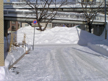 避難経路と緊急車両駐車場