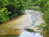 緑色凝灰岩の露床3